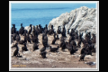 Impressionen 2 Monterey - Pismo Beach (13).jpg